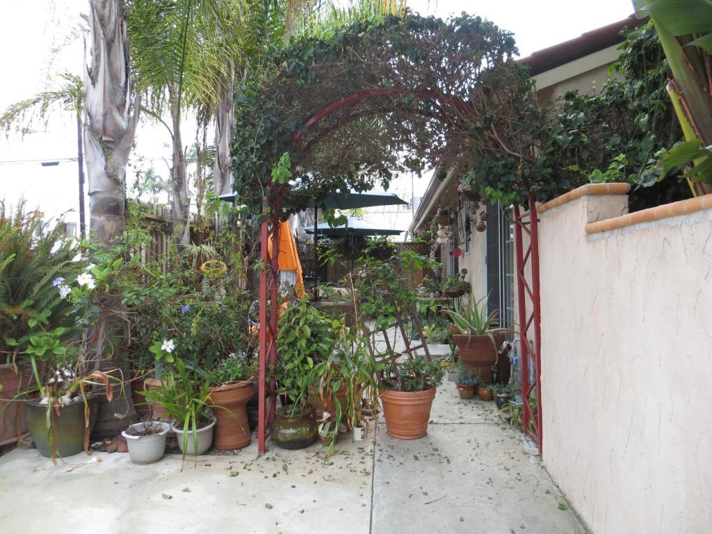 Always Inn San Clemente Bed & Breakfast By Elevate Rooms Εξωτερικό φωτογραφία